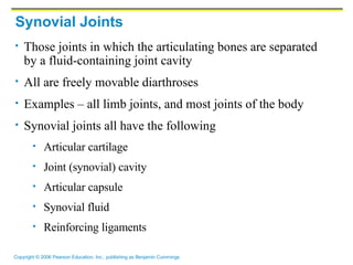Synovial Joints Those joints in which the articulating bones are separated by a fluid-containing joint cavity All are freely movable diarthroses Examples – all limb joints, and most joints of the body Synovial joints all have the following Articular cartilage Joint (synovial) cavity Articular capsule Synovial fluid Reinforcing ligaments 