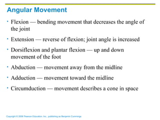 Angular Movement Flexion — bending movement that decreases the angle of the joint Extension — reverse of flexion; joint angle is increased Dorsiflexion and plantar flexion — up and down movement of the foot Abduction — movement away from the midline Adduction — movement toward the midline Circumduction — movement describes a cone in space 