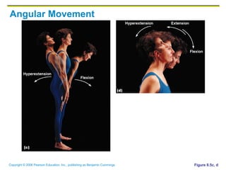 Angular Movement Figure 8.5c, d 