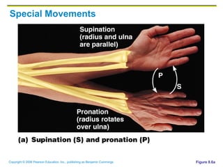 Special Movements Figure 8.6a 