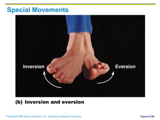 Special Movements Figure 8.6b 