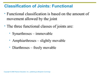 Classification of Joints: Functional Functional classification is based on the amount of movement allowed by the joint The three functional classes of joints are: Synarthroses – immovable  Amphiarthroses – slightly movable  Diarthroses – freely movable 