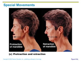 Special Movements Figure 8.6c 