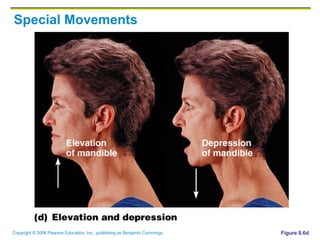Special Movements Figure 8.6d 