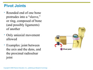 Pivot Joints Rounded end of one bone protrudes into a “sleeve,” or ring, composed of bone (and possibly ligaments) of another Only uniaxial movement allowed Examples: joint between the axis and the dens, and the proximal radioulnar joint 