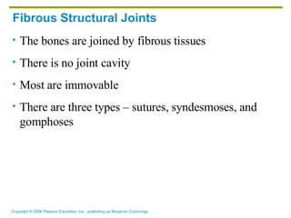 Fibrous Structural Joints The bones are joined by fibrous tissues There is no joint cavity Most are immovable There are three types – sutures, syndesmoses, and gomphoses 