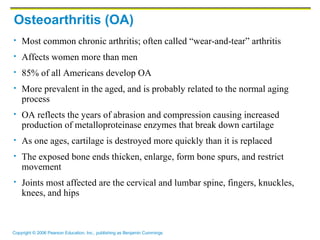 Osteoarthritis (OA) Most common chronic arthritis; often called “wear-and-tear” arthritis Affects women more than men 85% of all Americans develop OA More prevalent in the aged, and is probably related to the normal aging process OA reflects the years of abrasion and compression causing increased production of metalloproteinase enzymes that break down cartilage As one ages, cartilage is destroyed more quickly than it is replaced The exposed bone ends thicken, enlarge, form bone spurs, and restrict movement Joints most affected are the cervical and lumbar spine, fingers, knuckles, knees, and hips 
