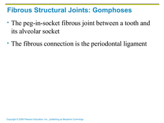 Fibrous Structural Joints: Gomphoses The peg-in-socket fibrous joint between a tooth and its alveolar socket The fibrous connection is the periodontal ligament 