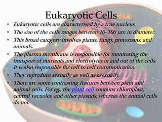 Eukaryotic Cells
• Eukaryotic cells are characterised by a true nucleus.
• The size of the cells ranges between 10–100 µm in diameter.
• This broad category involves plants, fungi, protozoans, and
animals.
• The plasma membrane is responsible for monitoring the
transport of nutrients and electrolytes in and out of the cells.
It is also responsible for cell to cell communication.
• They reproduce sexually as well as asexually.
• There are some contrasting features between plant and
animal cells. For eg., the plant cell contains chloroplast,
central vacuoles, and other plastids, whereas the animal cells
do not.
 