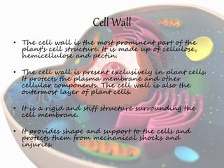 Cell Wall
• The cell wall is the most prominent part of the
plant’s cell structure. It is made up of cellulose,
hemicellulose and pectin.
• The cell wall is present exclusively in plant cells.
It protects the plasma membrane and other
cellular components. The cell wall is also the
outermost layer of plant cells.
• It is a rigid and stiff structure surrounding the
cell membrane.
• It provides shape and support to the cells and
protects them from mechanical shocks and
injuries.
 