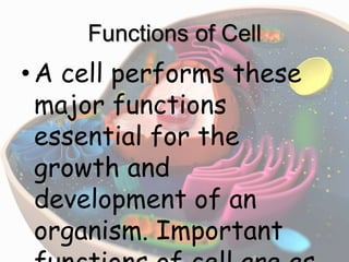 Functions of Cell
•A cell performs these
major functions
essential for the
growth and
development of an
organism. Important
 