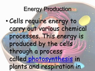 Energy Production
• Cells require energy to
carry out various chemical
processes. This energy is
produced by the cells
through a process
called photosynthesis in
plants and respiration in
 