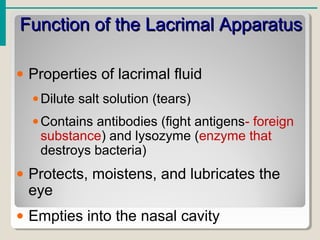 Function of the Lacrimal ApparatusFunction of the Lacrimal Apparatus
• Properties of lacrimal fluid
•Dilute salt solution (tears)
•Contains antibodies (fight antigens- foreign
substance) and lysozyme (enzyme that
destroys bacteria)
• Protects, moistens, and lubricates the
eye
• Empties into the nasal cavity
 
