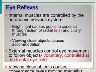 Eye ReflexesEye Reflexes
• Internal muscles are controlled by the
autonomic nervous system
•Bright light causes pupils to constrict
through action of radial (iris) and ciliary
muscles
•Viewing close objects causes
accommodation
• External muscles control eye movement
to follow objects- voluntary, controlled at
the frontal eye field
• Viewing close objects causes
 