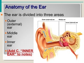 Anatomy of the EarAnatomy of the Ear
• The ear is divided into three areas
•Outer
(external)
ear
•Middle
ear
•Inner
ear
•(Add C. “INNER
EAR” to notes)
 