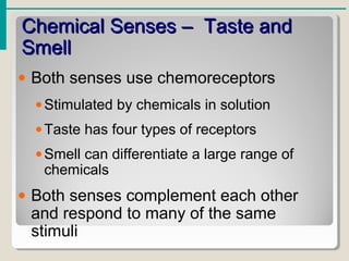 Chemical Senses – Taste andChemical Senses – Taste and
SmellSmell
• Both senses use chemoreceptors
•Stimulated by chemicals in solution
•Taste has four types of receptors
•Smell can differentiate a large range of
chemicals
• Both senses complement each other
and respond to many of the same
stimuli
 