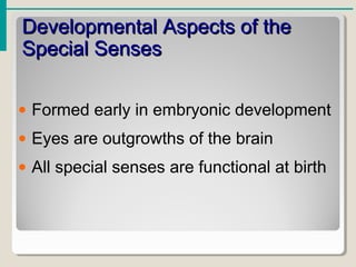Developmental Aspects of theDevelopmental Aspects of the
Special SensesSpecial Senses
• Formed early in embryonic development
• Eyes are outgrowths of the brain
• All special senses are functional at birth
 
