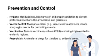 Protozoan Insecticide Chapter-8-Protozoafgagagagagaggagaagagagag | PDF