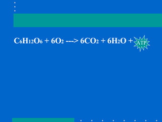 C 6 H 12 O 6  + 6O 2  ---> 6CO 2  + 6H 2 O +  ATP 