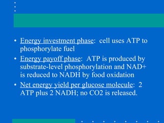 Energy investment phase :  cell uses ATP to phosphorylate fuel Energy payoff phase :  ATP is produced by substrate-level phosphorylation and NAD+ is reduced to NADH by food oxidation Net energy yield per glucose molecule :  2 ATP plus 2 NADH; no CO2 is released. 