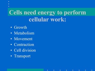 Cells need energy to perform cellular work: Growth Metabolism Movement Contraction Cell division Transport 
