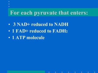 For each pyruvate that enters: 3 NAD+ reduced to NADH 1 FAD+ reduced to FADH 2     1 ATP molecule 