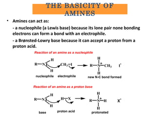 • Amines can act as:
- a nucleophile (a Lewis base) because its lone pair none bonding
electrons can form a bond with an electrophile.
- a Brønsted-Lowry base because it can accept a proton from a
proton acid.
NR
H
H
ICH3 NR
H
H
CH3 I
-
nucleophile electrophile new N-C bond formed
Reaction of an amine as a proton base
NR
H
H
XH
NR
H
H
H X
-
base proton acid protonated
Reaction of an amine as a nucleophile
THE BASICITY OF
AMINES
 