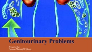Genitourinary Problems
Presented By:
Nouman Munir & M.Tahoor
 