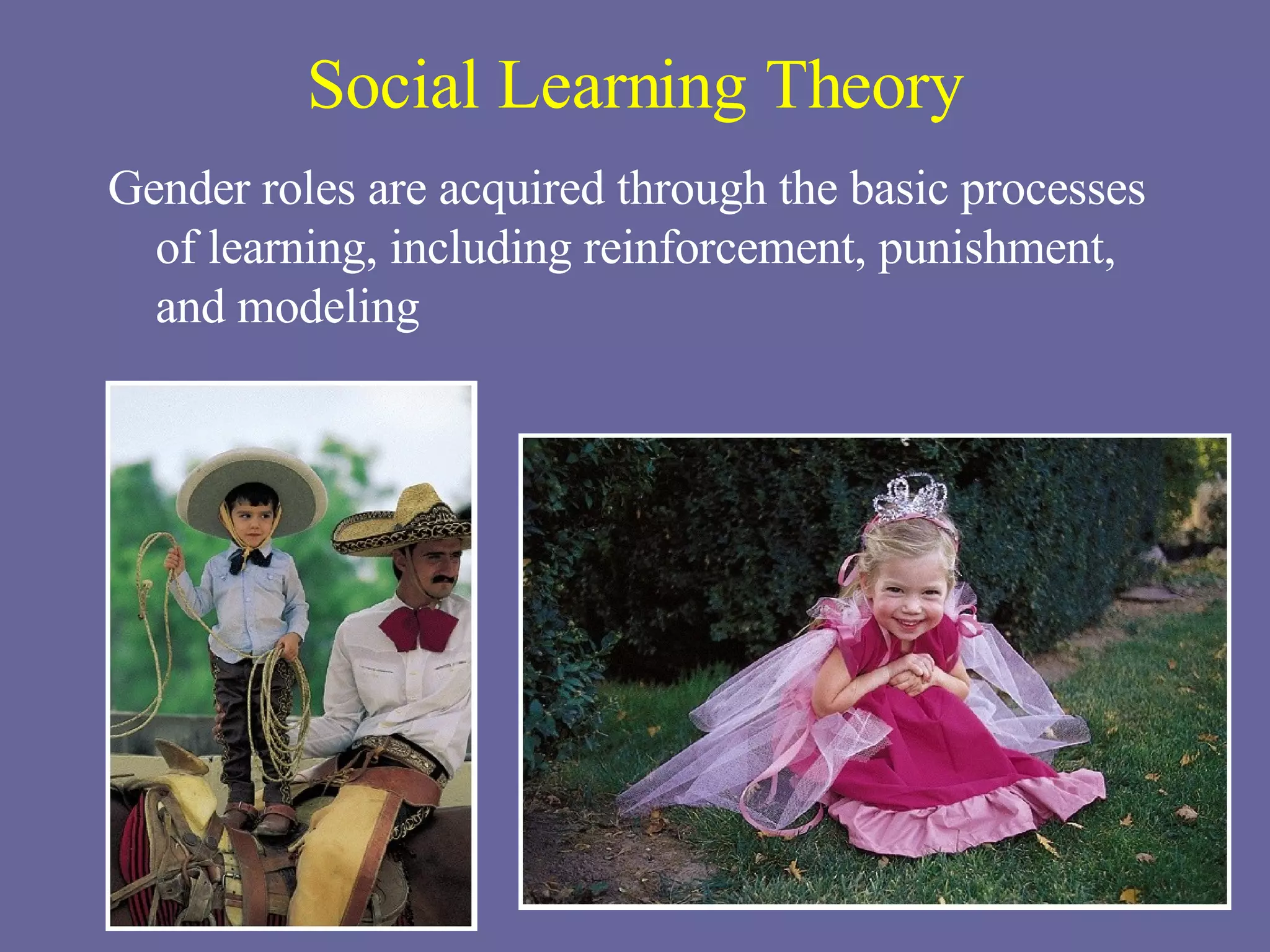 Social Learning Theory Gender roles are acquired through the basic processes of learning, including reinforcement, punishment, and modeling 