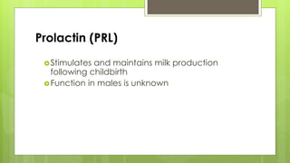 Prolactin (PRL)
Stimulates and maintains milk production
following childbirth
Function in males is unknown
 