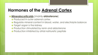 Hormones of the Adrenal Cortex
 Mineralocorticoids (mainly aldosterone)
 Produced in outer adrenal cortex
 Regulate mineral content in blood, water, and electrolyte balance
 Target organ is the kidney
 Production stimulated by renin and aldosterone
 Production inhibited by atrial natriuretic peptide
 