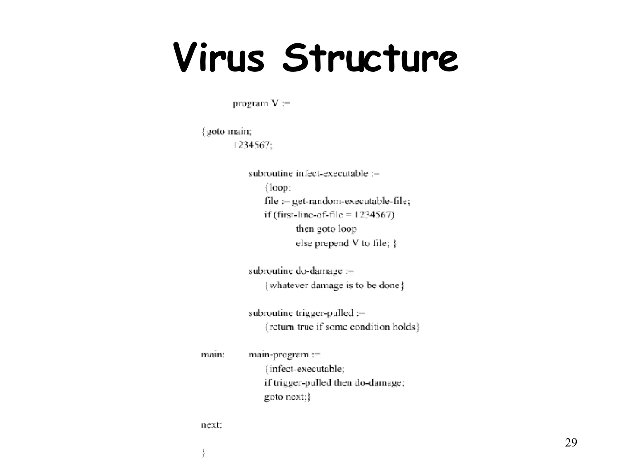 Virus Structure 