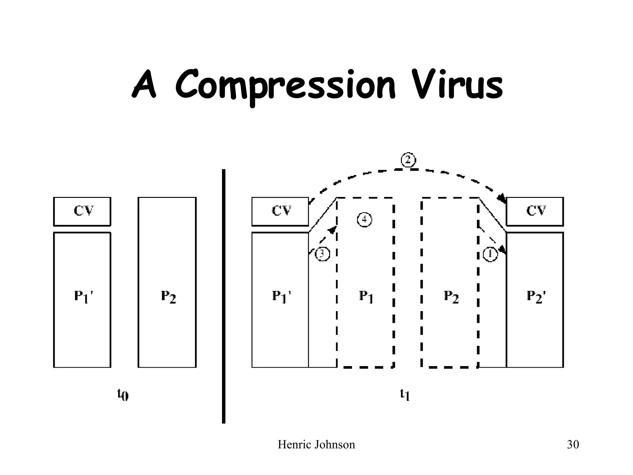 A Compression Virus 