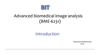 Advanced biomedical image analysis
(BME-6231)
Selamawit Workalemahu
FECE
Introduction
 