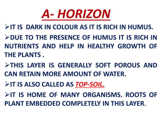 Chapter soil- class 7 th | PPTX | Agriculture | Industries