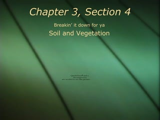 Chapter 3, Section 4 Breakin’ it down for ya Soil and Vegetation 
