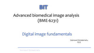 Selamawit Workalemahu
Advanced biomedical image analysis
(BME-6231)
Selamawit Workalemahu
FECE
Digital image fundamentals
 
