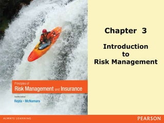 Chapter 3
Introduction
to
Risk Management
 