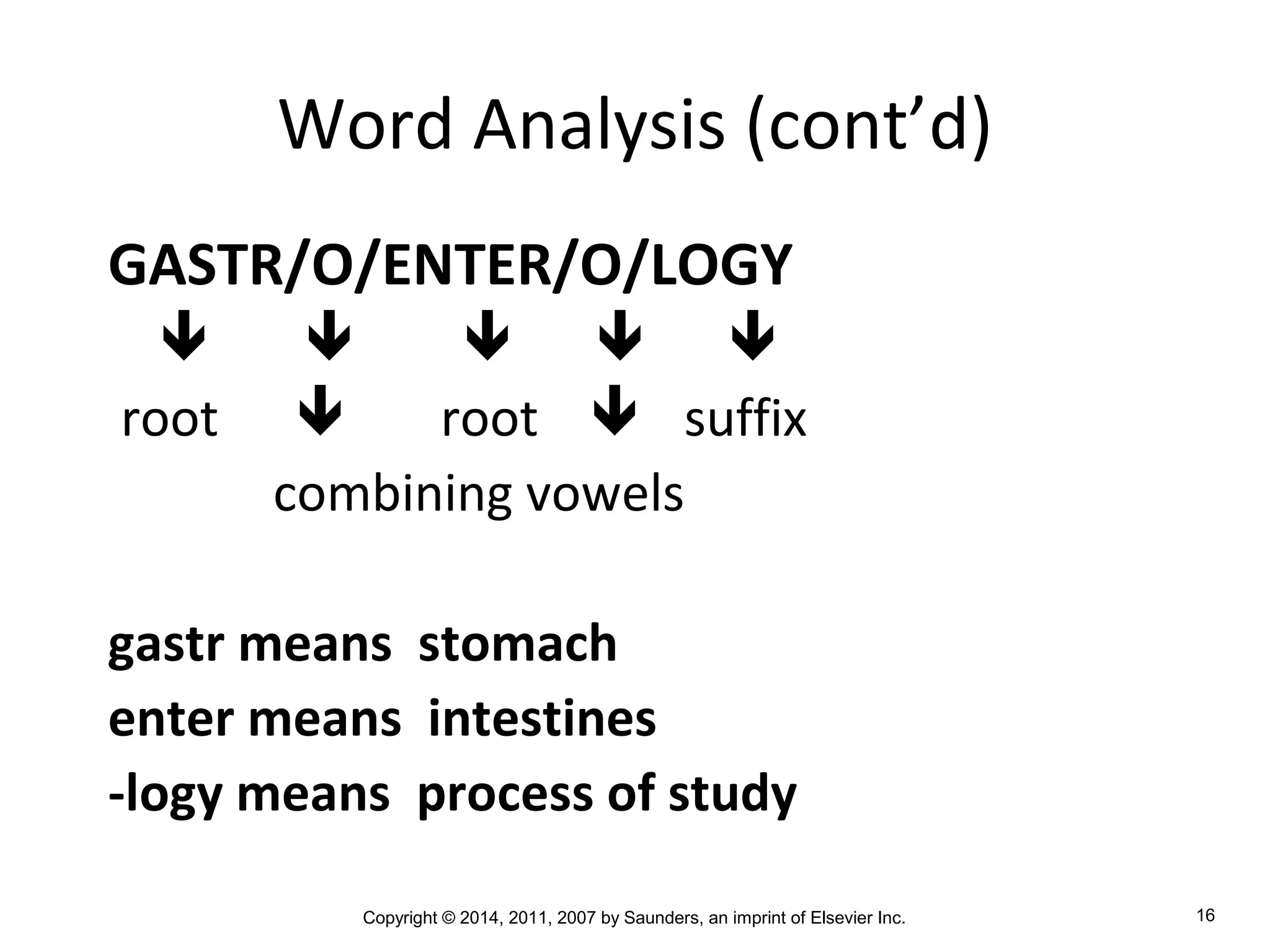 Copyright © 2014, 2011, 2007 by Saunders, an imprint of Elsevier Inc. 16
Word Analysis (cont’d)
GASTR/O/ENTER/O/LOGY
    
root  root  suffix
combining vowels
gastr means stomach
enter means intestines
-logy means process of study
 