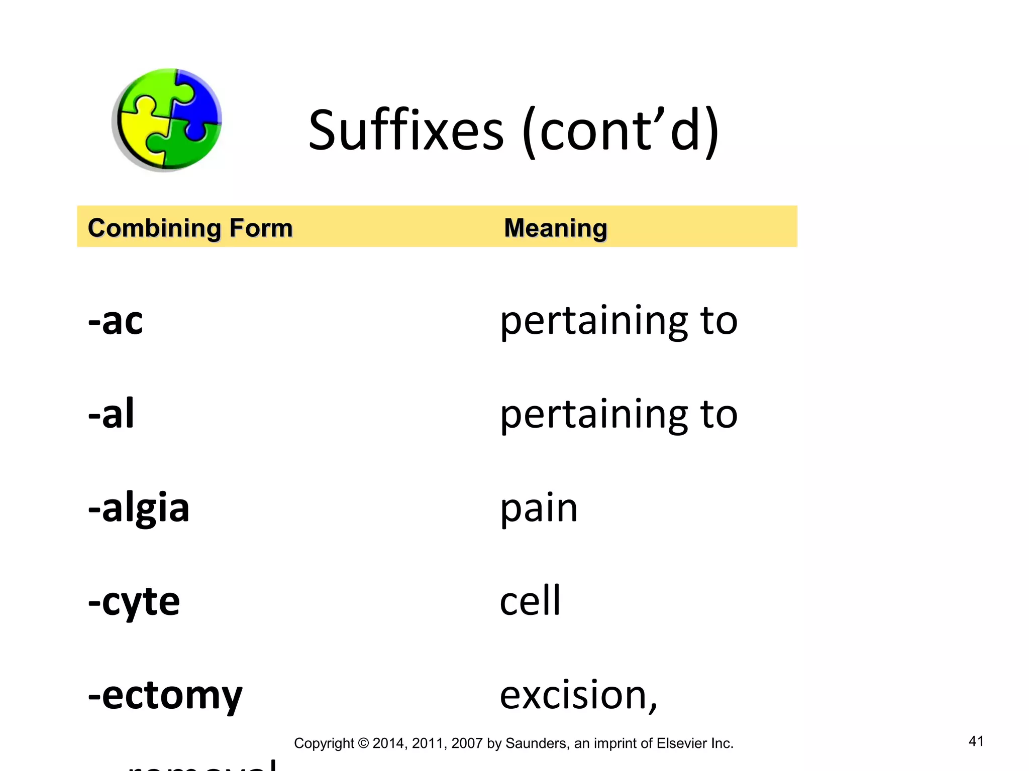 Copyright © 2014, 2011, 2007 by Saunders, an imprint of Elsevier Inc. 41
Suffixes (cont’d)
-ac pertaining to
-al pertaining to
-algia pain
-cyte cell
-ectomy excision,
Combining FormCombining Form MeaningMeaning
 