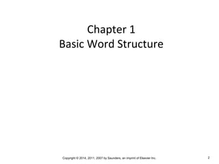 Chapter 1 Medical Terminology | PPT