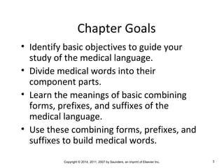 Chapter 1 Medical Terminology | PPT