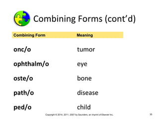 Chapter 1 Medical Terminology | PPT