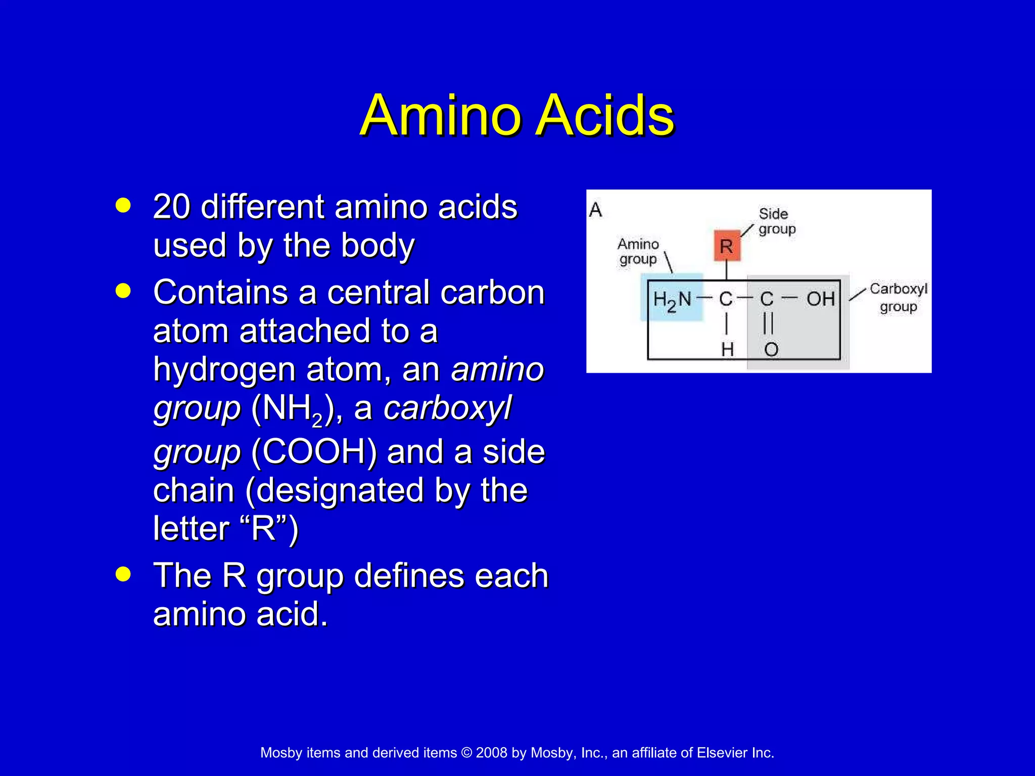 Amino Acids 20 different amino acids used by the body  Contains a central carbon atom attached to a hydrogen atom, an  amino group  (NH 2 ), a  carboxyl group  (COOH) and a side chain (designated by the letter “R”) The R group defines each amino acid.  
