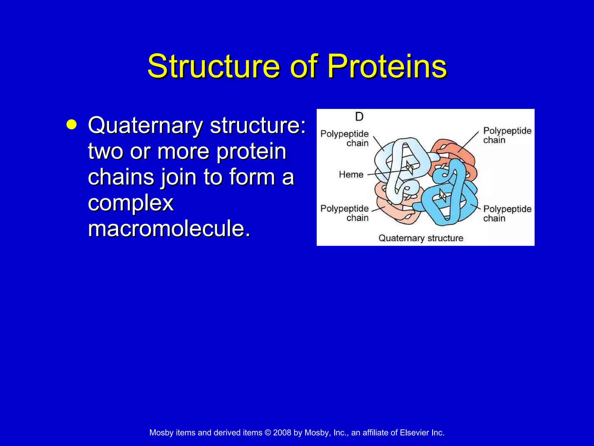 Structure of Proteins Quaternary structure: two or more protein chains join to form a complex macromolecule.  