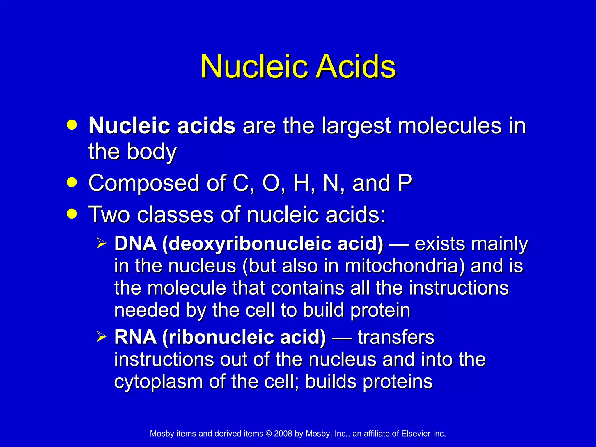 Nucleic Acids Nucleic acids  are the largest molecules in the body  Composed of C, O, H, N, and P  Two classes of nucleic acids:  DNA (deoxyribonucleic acid)  —  exists mainly in the nucleus (but also in mitochondria) and is the molecule that contains all the instructions needed by the cell to build protein  RNA (ribonucleic acid)   —  transfers instructions out of the nucleus and into the cytoplasm of the cell; builds proteins  