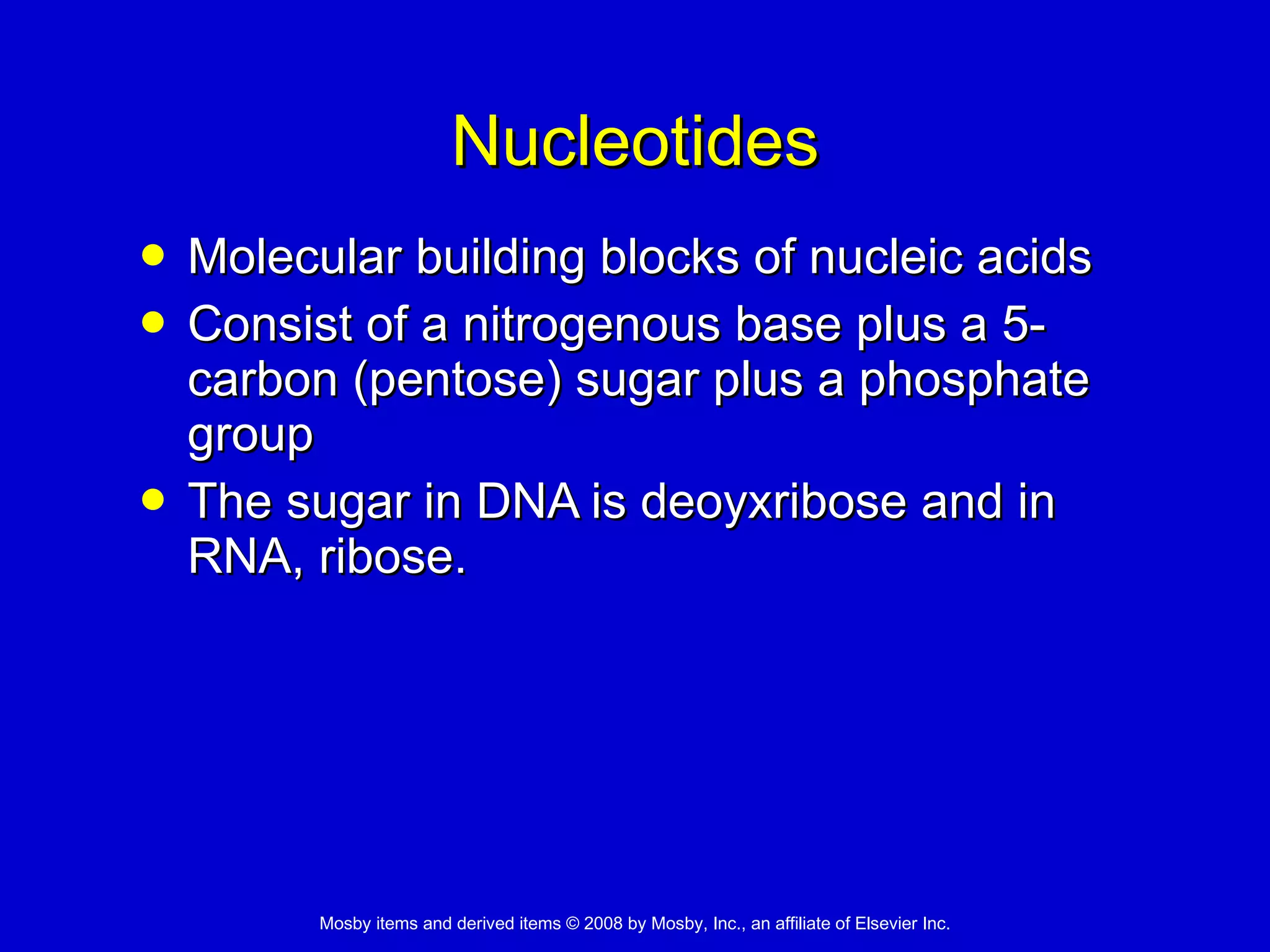 Nucleotides Molecular building blocks of nucleic acids  Consist of a nitrogenous base plus a 5-carbon (pentose) sugar plus a phosphate group  The sugar in DNA is deoyxribose and in RNA, ribose. 
