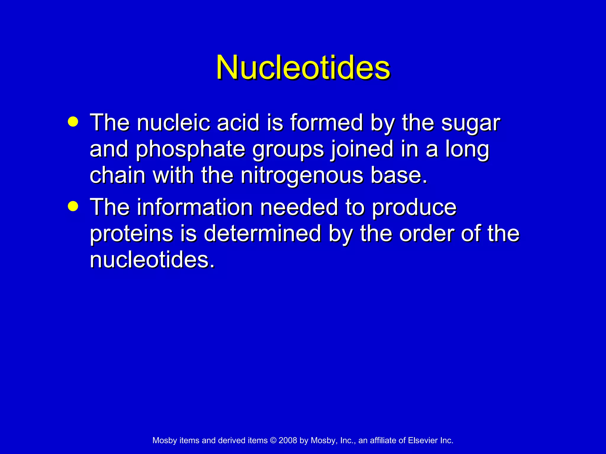 Nucleotides The nucleic acid is formed by the sugar and phosphate groups joined in a long chain with the nitrogenous base. The information needed to produce proteins is determined by the order of the nucleotides. 