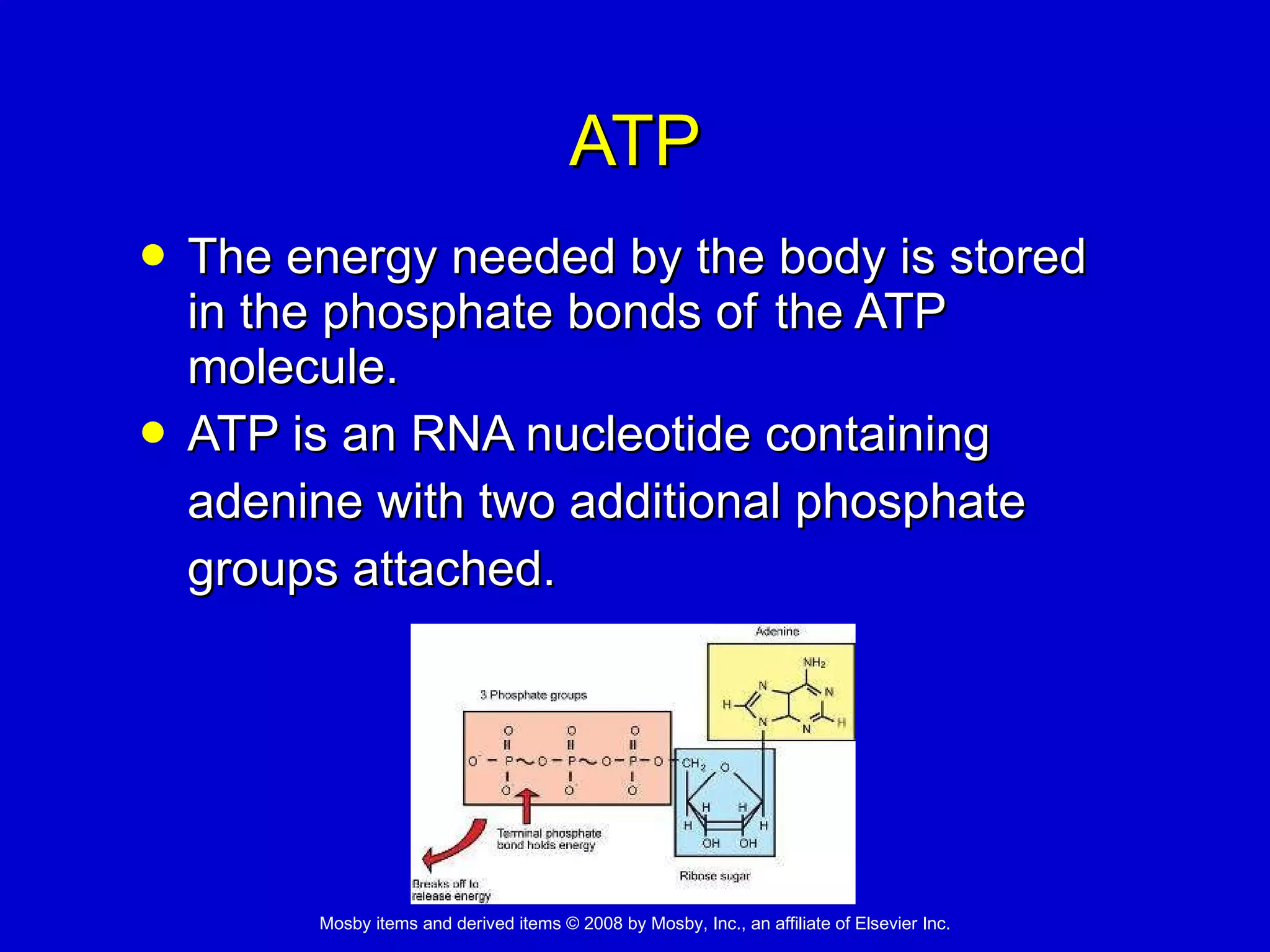 ATP The energy needed by the body is stored in the phosphate bonds of  the ATP molecule. ATP is an RNA nucleotide containing  adenine with two additional phosphate  groups attached.  