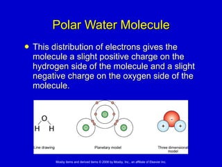 Polar Water Molecule This distribution of electrons gives the molecule a slight positive charge on the hydrogen side of the molecule and a slight negative charge on the oxygen side of the molecule.   